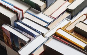 La ficha bibliográfica en la literatura